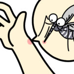 ヌカカと蚊の対策完全ガイド~刺されないための秘訣