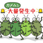 カメムシ被害を防ぐ!家庭でできる簡単対策と市販グッズ活用法
