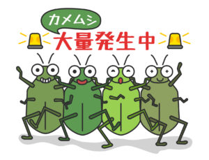 カメムシ被害を防ぐ!家庭でできる簡単対策と市販グッズ活用法